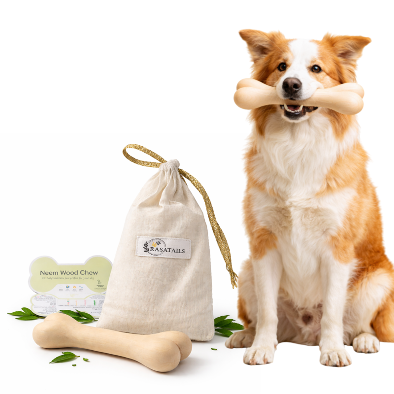 Pure Neem Wood Dental Chew