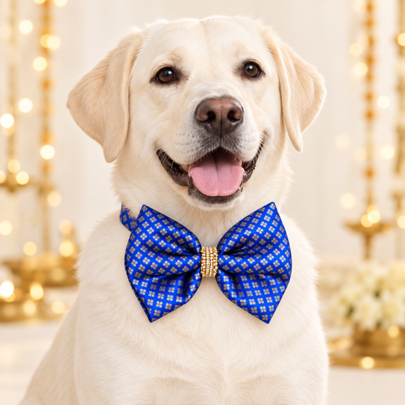 Shahi Neel – Royal Blue Silk Dog Bow Tie